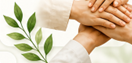 Peluang Bisnis Wellness